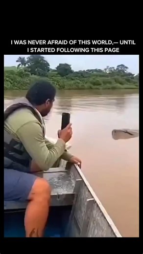 Apex Wild on Instagram: "A terrifying encounter unfolds as a massive green anaconda launches an attack on a man traveling in a small boat through a river channel. Hidden beneath the murky water, the snake suddenly surges upward with explosive force, its thick, muscular body wrapping around the edge of the boat in a split second. The man scrambles in panic as the anaconda attempts to pull itself closer, relying on pure strength rather than venom—true to how constrictors hunt. Green anacondas are 