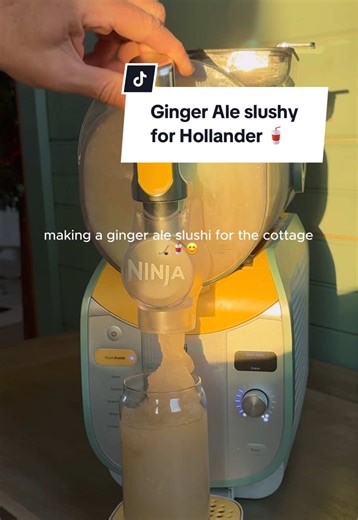 Sooo what time are people getting to the cottage? 👀🏠 #NinjaSLUSHi #NinjaSLUSHiMax #HeatedRivalry #GingerAle