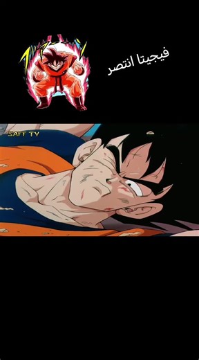 فيجيتا انتصر في العراق والسعودية