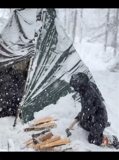 POV: Trapped in a Deadly Alaska Blizzard with Your Dog