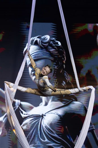 Aerial Sports Techniques and Tricks at Wellery Studio