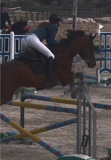 The Best Time for Horse Riding Competitions