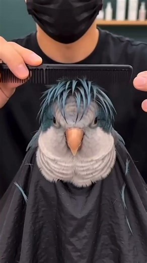 ​The Most Stylish Bird on Earth! 🦜✨ #Shorts