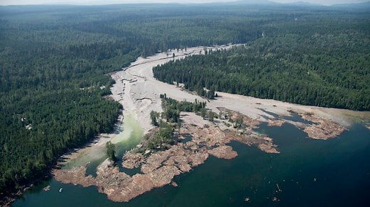 Why the Mount Polley tailings pond breached