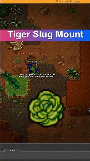 Tibia Tiger Slug Mount Tame Item Slug Drug #tibia #tibia2025 #tibiagame #tibiaglobal #tibiamount