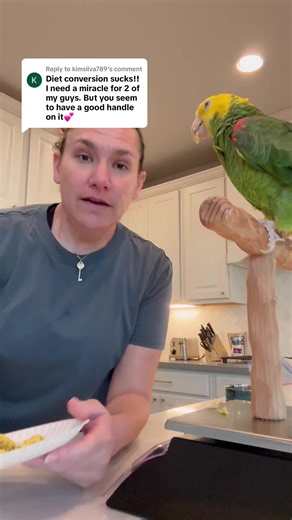 Effective Bird Diet Conversion Tips Using Favorites