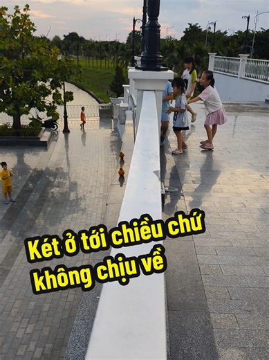 Két con không chịu về: Sun Conure ở tới chiều