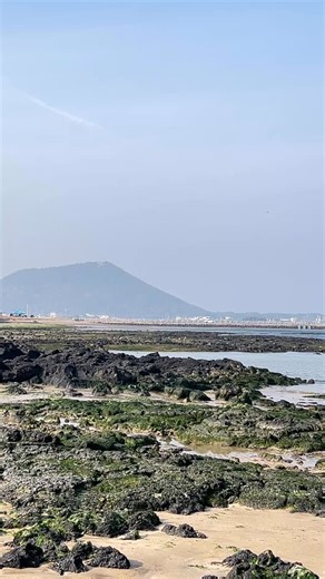 A quiet beach in eastern Jeju~~ 🏖️ Sometimes it’s better to enjoy Udo island and Seongsan Sunrise Peak like this than to visit there. 🤣 #jeju #jejuisland #jejudo #jejutravel #jejulife | Jeju Island Travel
