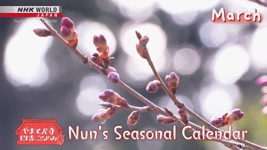 March 20th marks the Spring Equinox, when day and night are evenly balanced. At Otowasan Kannonji Temple, it’s a time for friends to picnic beneath the branches of budding cherry blossom trees. Watch "Nun's Seasonal Calendar: March" NOW! ⬇️ | NHK WORLD-JAPAN