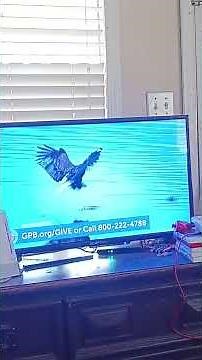 PBS Kids sign-off (2025 GPB)