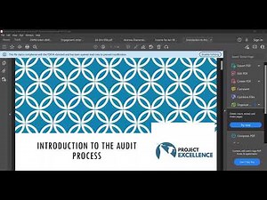 Introduction to the auditing profession