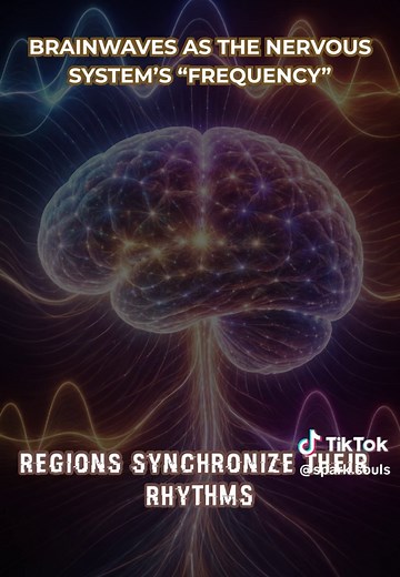 Brainwaves are the nervous system’s natural frequencies — patterns of electrical activity that influence focus, emotion, and awareness. From calm alpha waves to deep theta states, your brain is always oscillating between rhythms that shape your inner world. Understanding these frequencies reveals how closely your mental state is tied to the biology of your brain. #brainwaves #neuroscience #mindscience #brainfrequency #consciousness