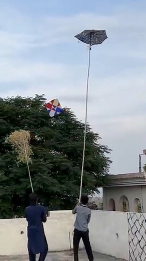 Catch Kite With New Trick | #kite #kiteflying | Pakistan kite Flying Organisation