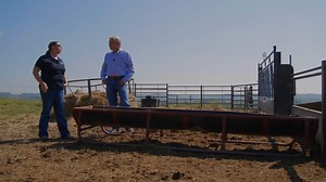 Calves are on pasture with their dams where life is good. Suddenly, they’re faced with a plethora of stressors and challenges. In this episode of Livin’ the Farm Life, Renee Roetheli, Purina® Cattle Unit Assistant Manager, and Rod Nulik discuss tips to get freshly weaned calves eating quickly to overcome stress and sickness. #purinalivinthefarmlife #feedgreatness | D&L Farm and Home | Facebook