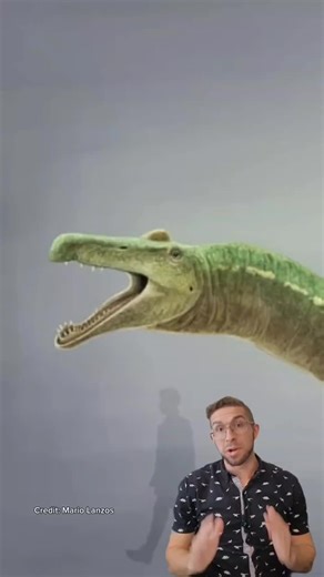 Spinosaurus was a massive, semi-aquatic predator with a long, crocodile-like snout, perfectly suited for hunting fish. Living in North Africa's river systems, it shared its habitat with large fish, turtles, and even other dinosaurs like Carcharodontosaurus. Its distinctive sail and paddle-like tail helped it move through water, making it an efficient swimmer in its riverine environment. Spinosaurus is one of the largest carnivorous dinosaurs, and its weird lifestyle sets it apart from other ther