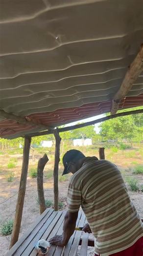 Como fazer apeisco dos ovinos #ovinos