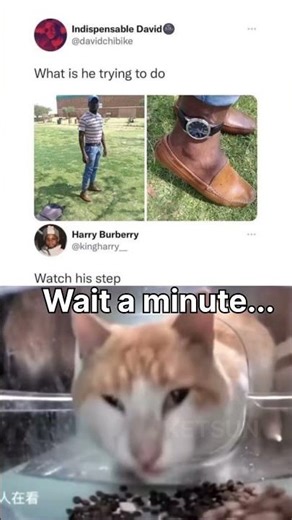 Wait, this actually makes sense #montagem