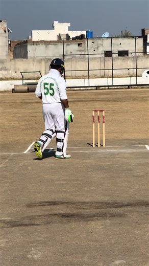 Legendary Senior Cricketer: A Captain's Journey
