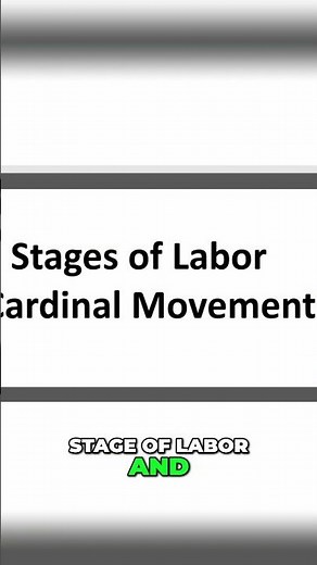 Stages of Labor: Cardinal Movements Explained in 3 Minutes #shorts