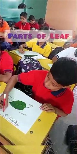 Learning Parts of a Leaf Made Easy 🌿 #trending #youtubeshorts #education #viral