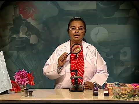 Biology MIcroscope English