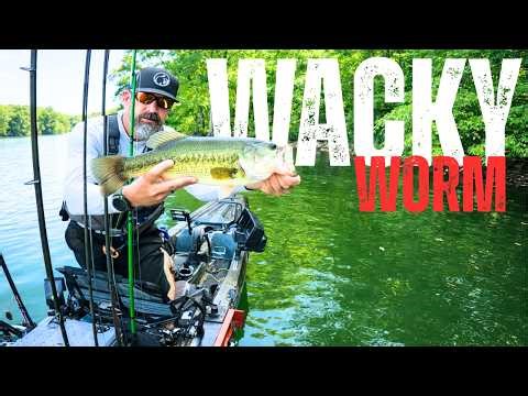 How to Catch Bass on a Wacky Worm in 10 Minutes (Beginner Cheat Code)