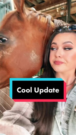 Exciting Broodmare Update: Cool's Baby Arrival!