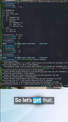 ⚙️ Connect pandas to neovim python LSP #neovim #macos #coding