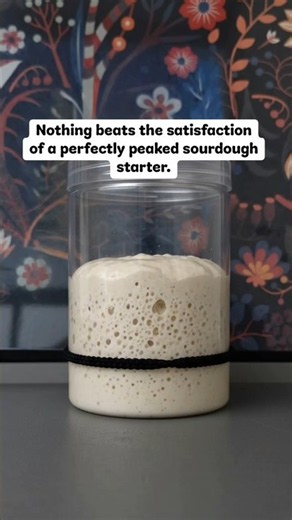 How to Feed Your Sourdough Starter (Watch it Double!) 🍞✨ #sourdough #sourdoughstarter #bakingday