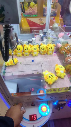 Winning Tiger Keychain from the Claw Machine