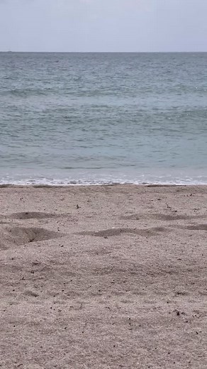 Stoney Jackson (@stoneyjrocks)’s videos with original sound - Stoney Jackson