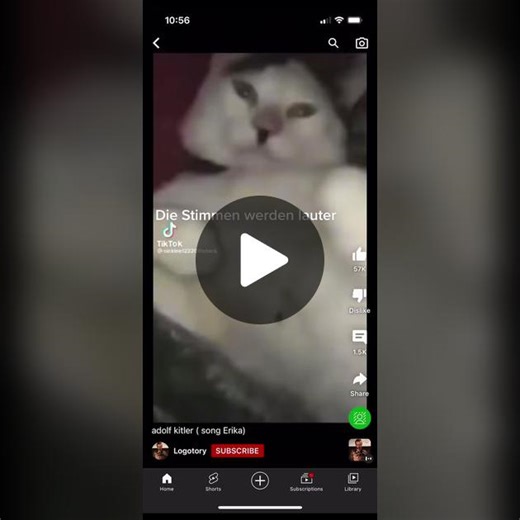 Comrade Elmo on TikTok