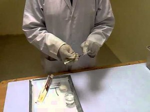 Intraperitoneal route of drug administration