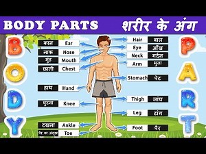Body parts for kids | Parts of the body in Hindi | शरीर के अंगों के नाम | Body parts