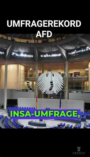 AfD so stark wie nie – was ist mit der Union passiert? 📊🇩🇪