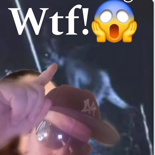 Unexpected Footage from Appalachian Trail Camera