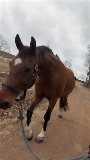 wild ruby on the trail🤪