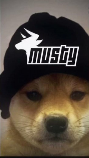 Musty choosing his PFP ‪@amustycow‬ #rocketleague #edit