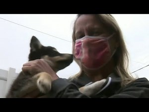 Local 4 News at 6 -- March 26, 2021