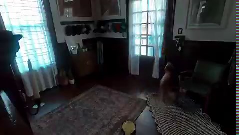 This looks like the last scene of movie adapted from an Andy Weir novel.👍🏻👍🏻