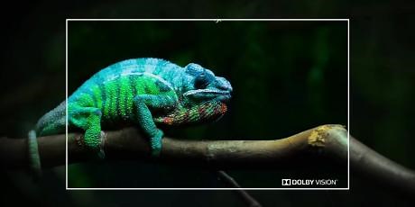 「杜比视界 全景声.4K.HDR」超高清pv测试视频「4集」