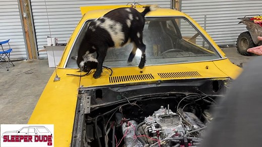 sleeperdude88 on TikTok