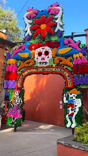 Arrived in Mexico City for Halloween 🎃 What a contrast from the UK. Overload of the senses with colours and sounds 😆 Reunited with Eden again for the next 3 weeks #halloween #coyoacan #mexicocity # | Carol Drinkwater-Rogers