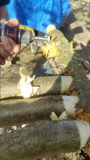 Using a Drill and Tenon Cutter to Build a Garden Bench From Logs