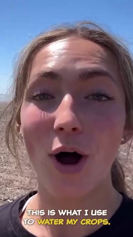 My Farm’s Biggest Secret Expense