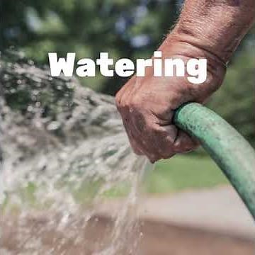 Why Are My Potato Plants Falling Over?