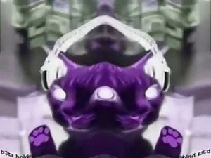 Preview 2 Numa Cats Extended^2