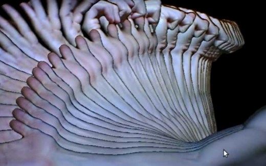 Creating Video Trails In OpenCV