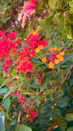 18K views · 73 reactions | Paper, Flowers, Magic! 炙慄 How to Make an Easy and Beautiful Night Lamp | 5-Minute Crafts GIRLY | Facebook