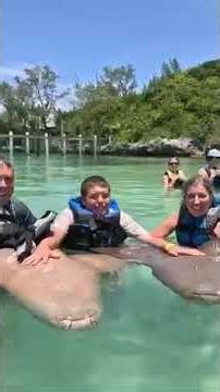 Here’s me and my family with the nerf sharks 🦈🦈🔥🔥❤️‍🔥❤️‍🔥